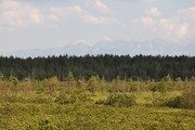 90-lecie rezerwatu przyrody Bór na Czerwonem / RDOŚ w Krakowie